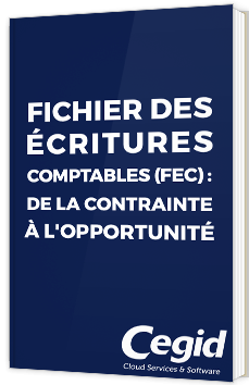 Fichier des écritures comptables (FEC) : de la contrainte à l'opportunité