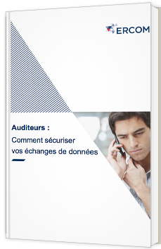 Auditeurs : comment sécuriser vos échanges de données