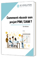 3C-evolution-pim-dam