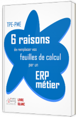 TPE-PME : 6 raisons de remplacer vos feuilles de calcul par un ERP métier