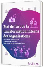 Etat de l'art de la transformation interne des organisations