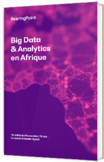 Big Data  & Analytics en Afrique