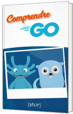 Comprendre Go