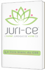 Le Livre Blanc du CSE