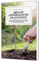Règles générales de plantation