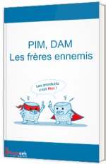 PIM, DAM, les frères ennemis