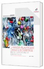 L'après-plastique dans l'industrie : entre difficultés et innovations