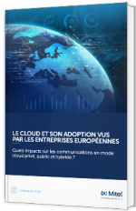 Le Cloud et son adoption vus par les entreprises européennes