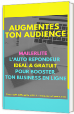 MailerLite - Le guide : L'autorépondeur gratuit et en français pour booster ton business en ligne