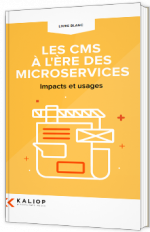Les CMS à l'ère des microservices : impacts et usages