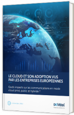 Le Cloud & son adoption vus par les entreprises Européennes