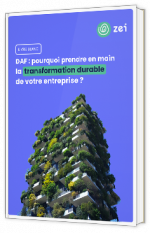 Livre blanc - "Pourquoi prendre en main la transformation durable de votre entreprise" - Zei
