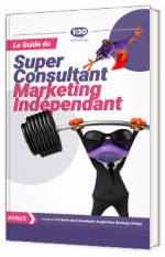 Le guide du super consultant marketing indépendant