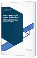 The Total Economic Impact Of Kameleoon