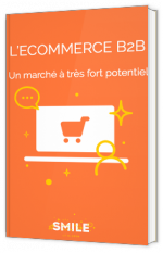 E-commerce B2B