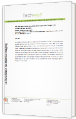 Bibliothèque vision ou outil de développement intégré (IDE) spécifique pour la vision